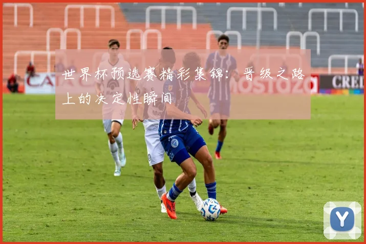 世界杯预选赛精彩集锦：晋级之路上的决定性瞬间